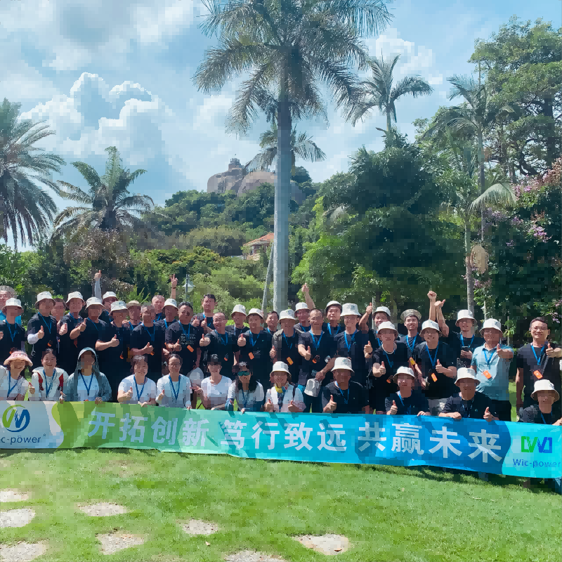 Uniting Wic-power and Mic-power for a Sustainable Future